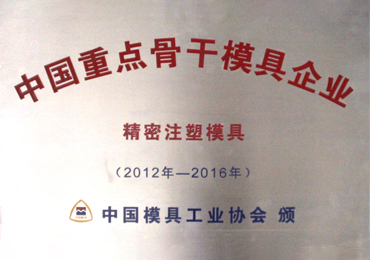 中國重點骨干模具企業.jpg